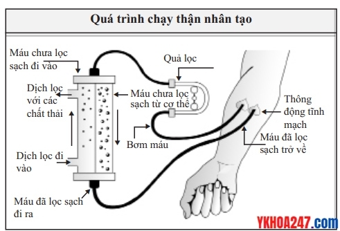 chay-than