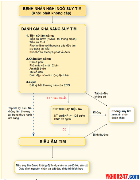 lược-đồ-chẩn-đoán-suy-tim-theo-ESC-2016