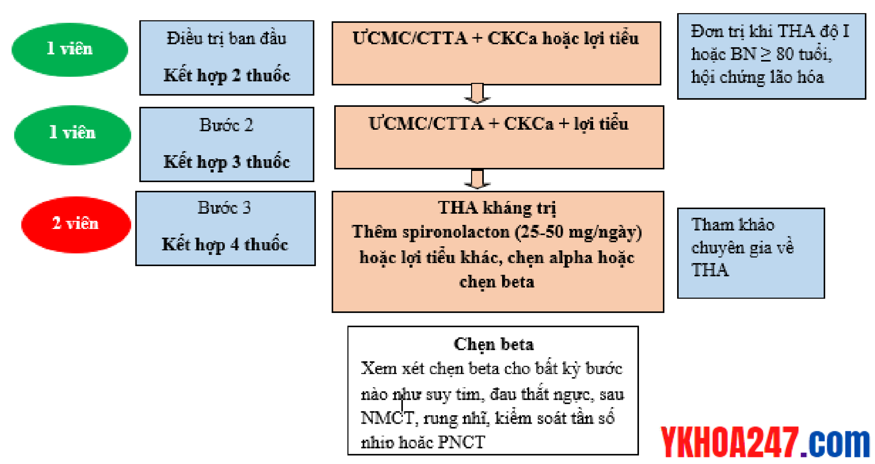 Sơ-đồ-chiến-lược-sủ-dụng-thuốc-ở-bệnh-nhân