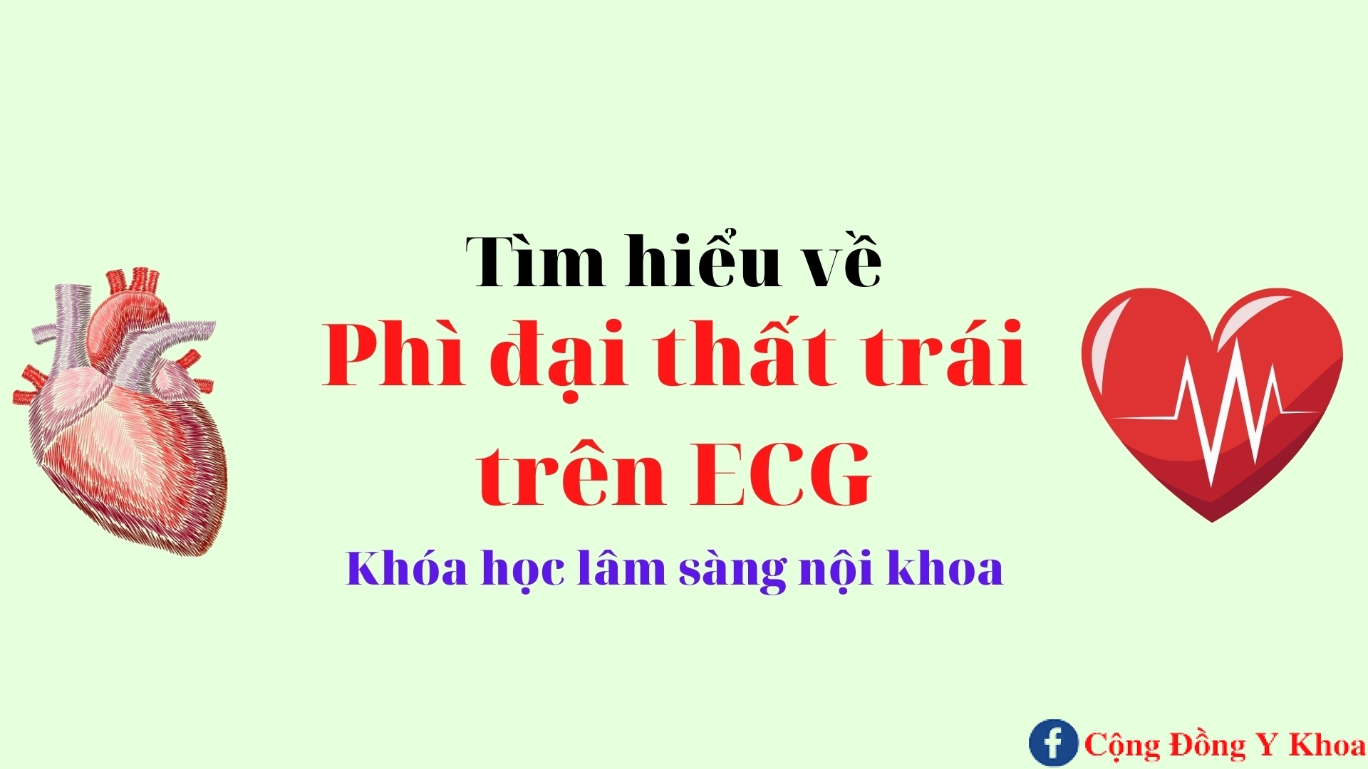 phi dai that phai ecg ykhoa 247